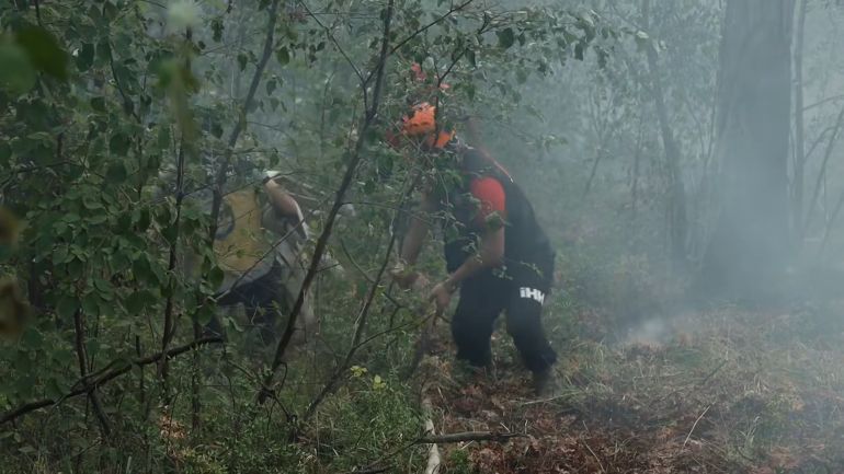 Two firefighters hauling a hose through dense forest