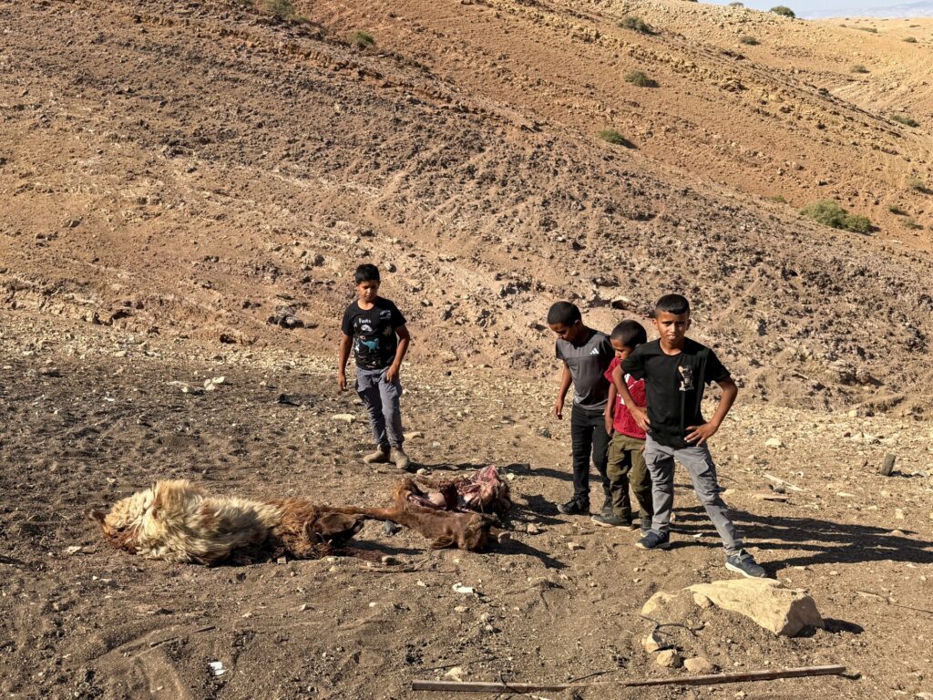 Palestinian child shot dead in West Bank by Israeli forces amid land grabs Palestinian child shot dead in West Bank by Israeli forces amid land grabs