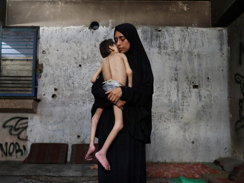 Israel says it’s distributing aid in Gaza, so why are people starving? Israel says it’s distributing aid in Gaza, so why are people starving?
