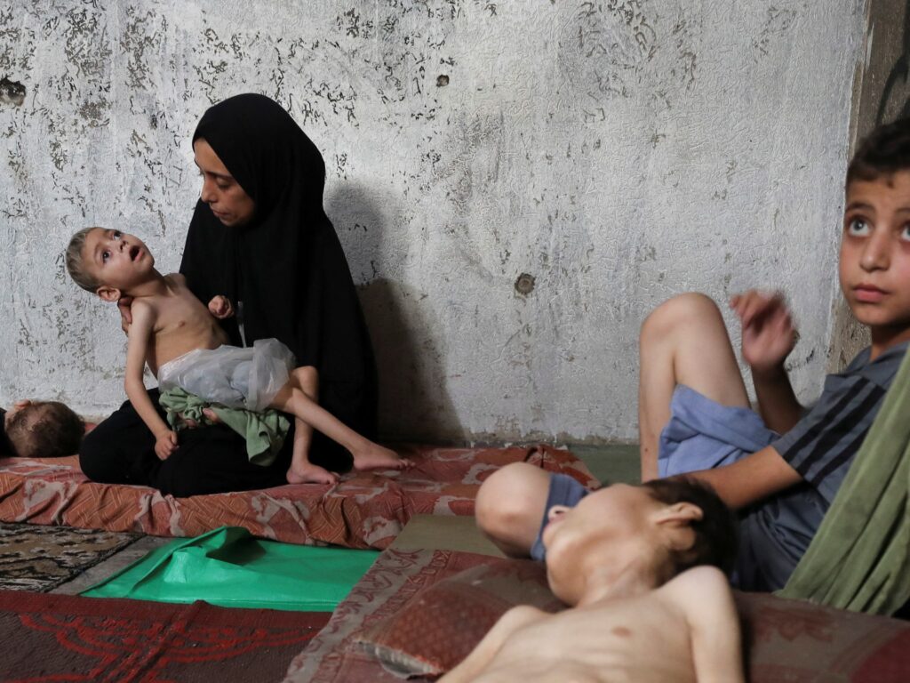 Death toll from starvation in Gaza rises to 115 as Israeli attacks continue Death toll from starvation in Gaza rises to 115 as Israeli attacks continue