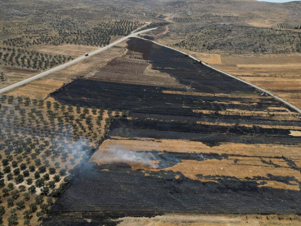 Israel is proceeding with annexation, and there is only one way to stop it Israel is proceeding with annexation, and there is only one way to stop it