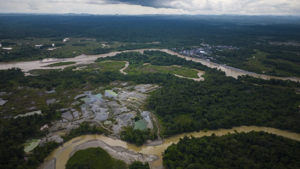 Over 90 arrests made in global crackdown on environmental crime in the Amazon Basin Over 90 arrests made in global crackdown on environmental crime in the Amazon Basin