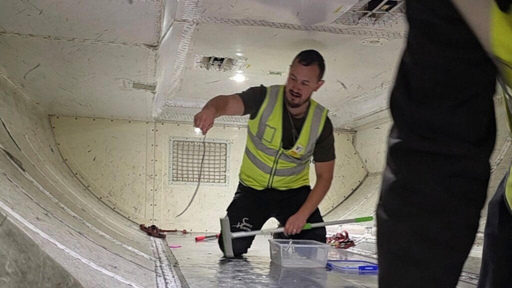 Snake on a plane delays a flight in Australia Snake on a plane delays a flight in Australia
