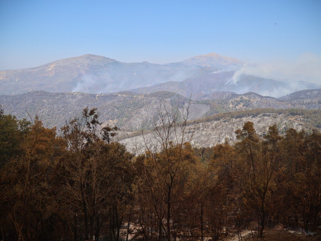 Syria says wildfires in northwest Latakia province contained after 10 days Syria says wildfires in northwest Latakia province contained after 10 days