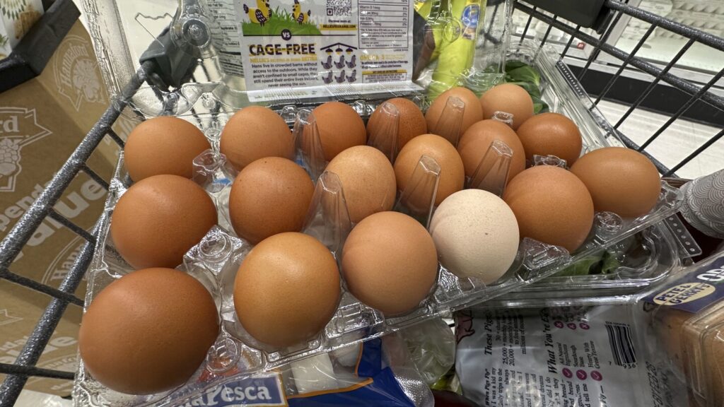 Trump administration sues California over egg prices and blames animal welfare laws Trump administration sues California over egg prices and blames animal welfare laws