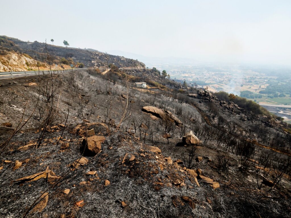 Spain suffers third wildfire death as thousands remain displaced in Europe Spain suffers third wildfire death as thousands remain displaced in Europe