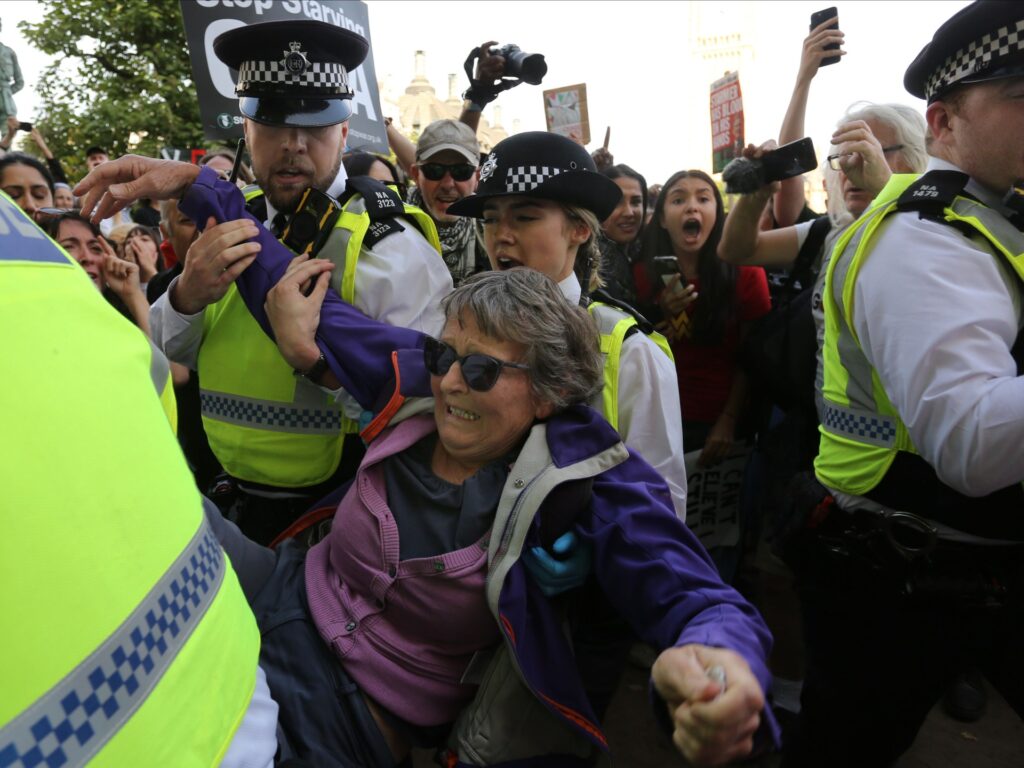 UK police arrest almost 900 protesters at pro-Palestine Action rally UK police arrest almost 900 protesters at pro-Palestine Action rally