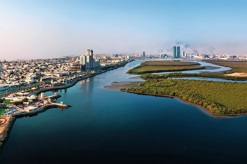 RAK realty soars nearly 9-fold as investor confidence deepens RAK realty soars nearly 9-fold as investor confidence deepens