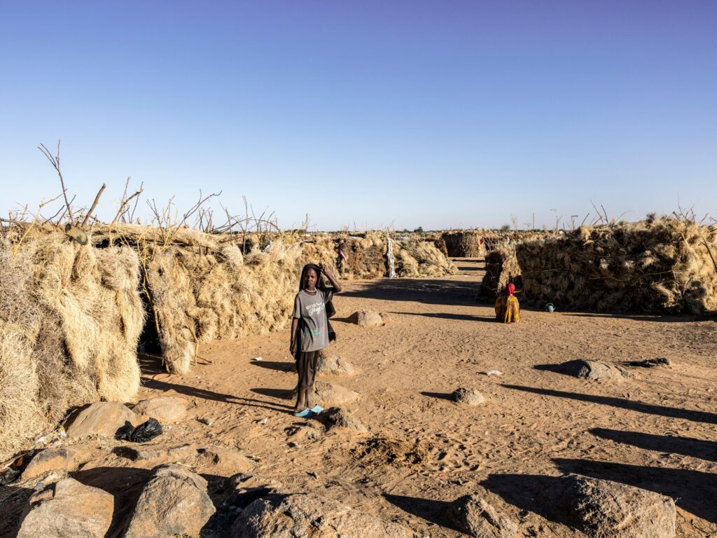 Sudan’s army captures two areas in North Kordofan as RSF burns more bodies Sudan’s army captures two areas in North Kordofan as RSF burns more bodies