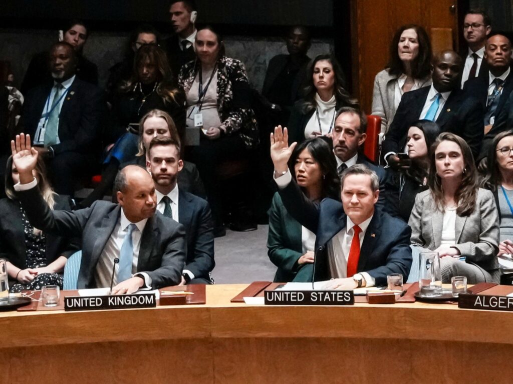 What is the international stabilisation force for Gaza?