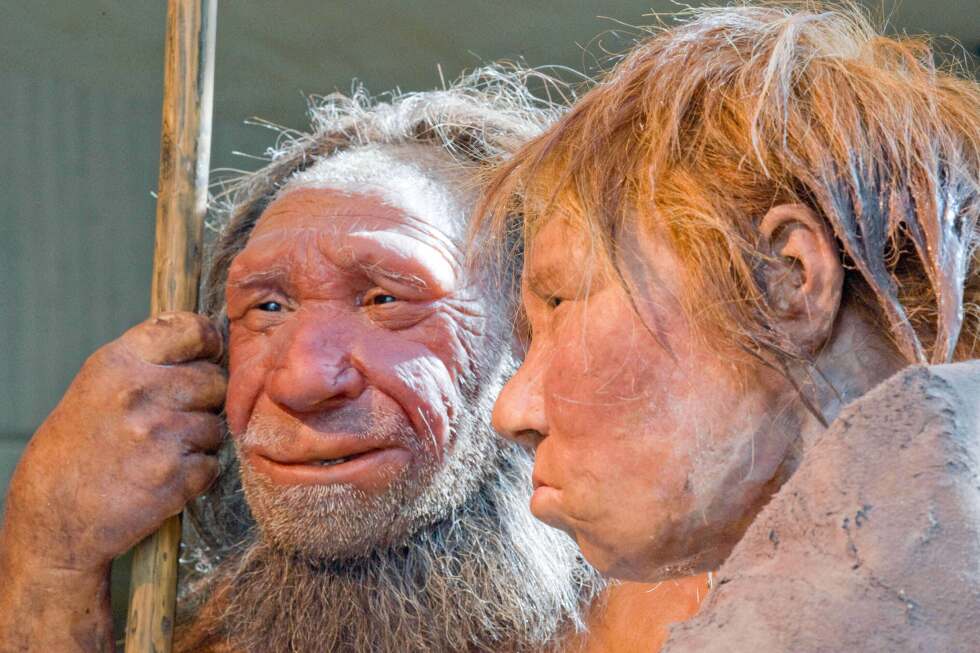 A genetic analysis reveals new details on ancient couplings between humans and Neanderthals A genetic analysis reveals new details on ancient couplings between humans and Neanderthals