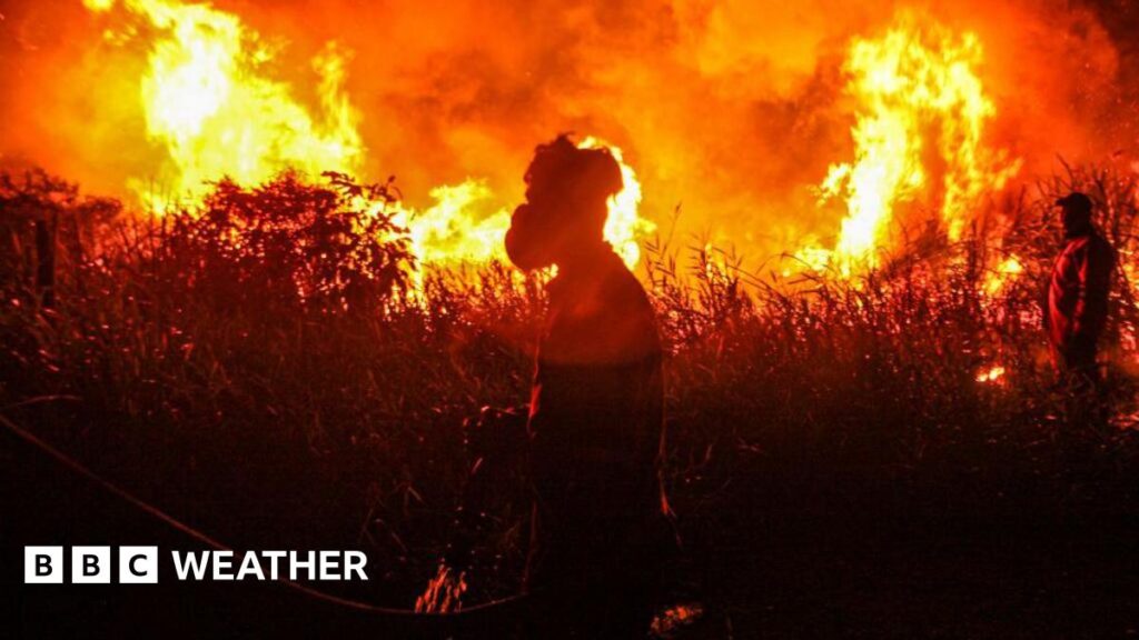 Warning of record global temperatures as chance of very strong El Niño growsAs El Niño develops this year, scientists are increasingly confident it could be one of the strongest on record with global consequences, as Simon King explains.1 hr ago