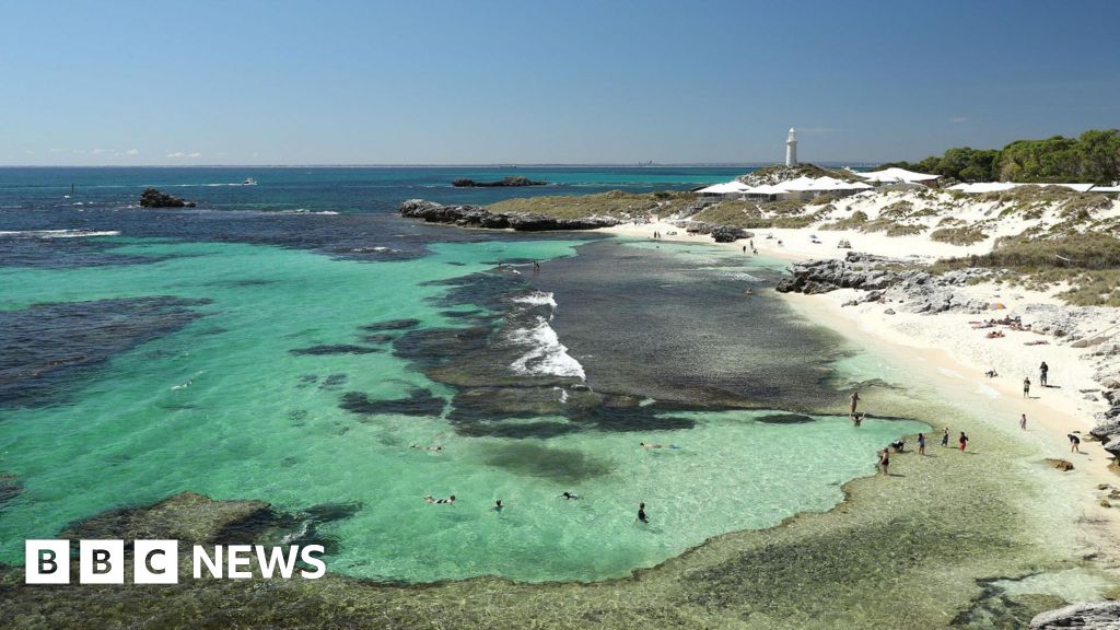 Man killed by 13ft great white shark in Western AustraliaThe man was bitten just before 10:00 (03:00 BST) at Horseshoe Reef – north-west of the popular Rottnest Island near the city of Perth, local police said.53 mins agoAustralia Man killed by 13ft great white shark in Western AustraliaThe man was bitten just before 10:00 (03:00 BST) at Horseshoe Reef - north-west of the popular Rottnest Island near the city of Perth, local police said.53 mins agoAustralia