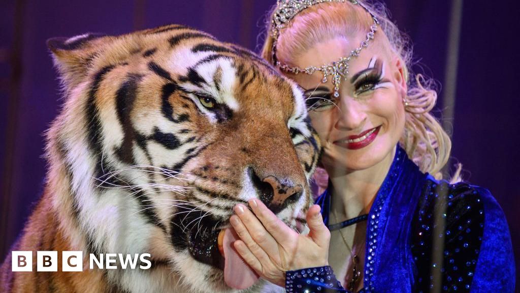 Escaped tiger shot by German police after attacking manThe tiger escaped a facility owned by local trainer Carmen Zander, also known as Germany's "Tiger Queen", according to local media reports.48 mins agoEurope Escaped tiger shot by German police after attacking manThe tiger escaped a facility owned by local trainer Carmen Zander, also known as Germany's "Tiger Queen", according to local media reports.48 mins agoEurope