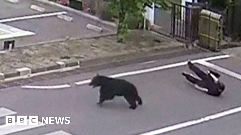Watch: Man attacked by bear at steel works in JapanThe bear, which injured four people in the attack on Tuesday, remains on the loose within the factory compound.6 hrs agoAsia Watch: Man attacked by bear at steel works in JapanThe bear, which injured four people in the attack on Tuesday, remains on the loose within the factory compound.6 hrs agoAsia