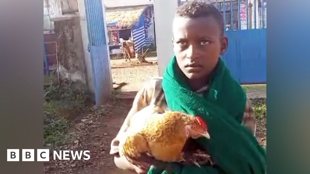 Boy, 12, wins hearts after trying to check sick chicken into Ethiopian hospitalMarkos's beloved hen was not responding to any treatments – so he did the only thing he could think of.19 hrs agoAfrica Boy, 12, wins hearts after trying to check sick chicken into Ethiopian hospitalMarkos's beloved hen was not responding to any treatments - so he did the only thing he could think of.19 hrs agoAfrica