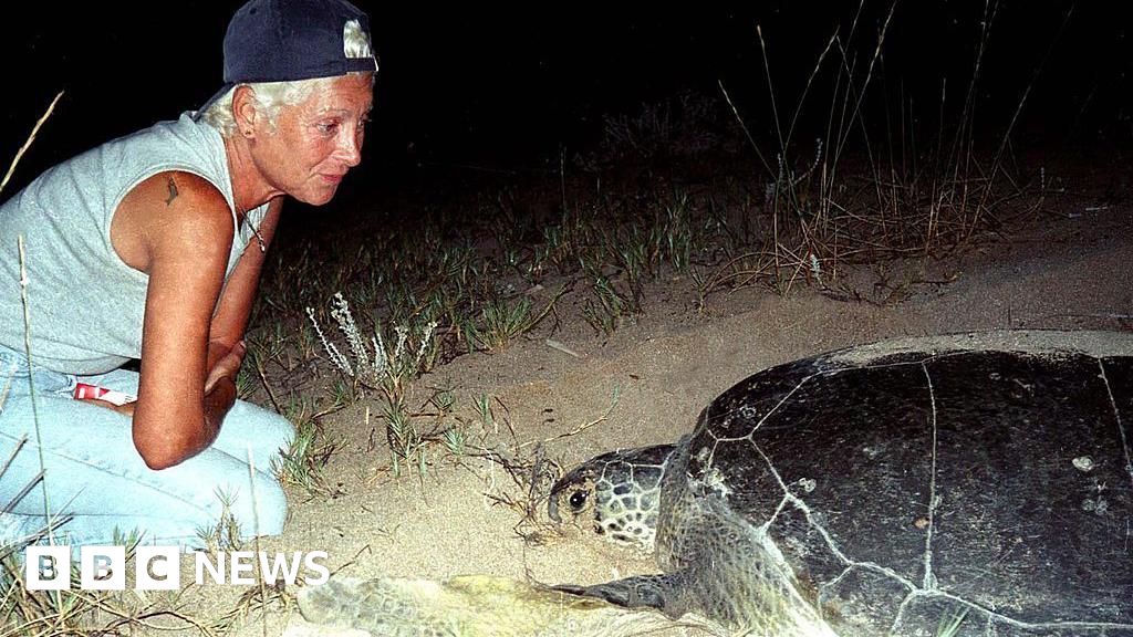 Lebanese turtle conservationist Mona Khalil killed by Israeli strikeMona Khalil, who had refused to leave the beach she had spent years protecting, died from her injuries after the Israeli strike.8 hrs agoMiddle East Lebanese turtle conservationist Mona Khalil killed by Israeli strikeMona Khalil, who had refused to leave the beach she had spent years protecting, died from her injuries after the Israeli strike.8 hrs agoMiddle East