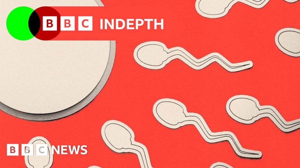 How male infertility is still not getting enough attentionHow could the system better support men who have been told they might have a fertility issue?9 hrs agoBBC InDepth How male infertility is still not getting enough attentionHow could the system better support men who have been told they might have a fertility issue?9 hrs agoBBC InDepth
