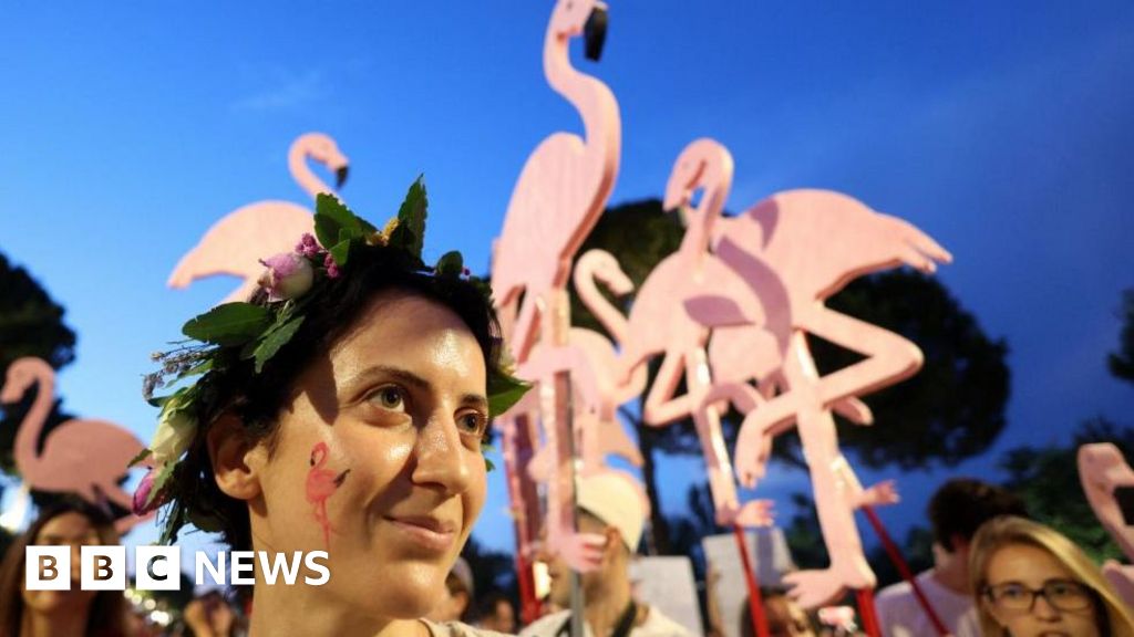 'Flamingo Revolution' takes off as thousands demand Albanian PM's resignation Flamingos have become a national symbol of protest, triggered by opposition to a luxury development.1 day agoWorld 'Flamingo Revolution' takes off as thousands demand Albanian PM's resignation Flamingos have become a national symbol of protest, triggered by opposition to a luxury development.1 day agoWorld