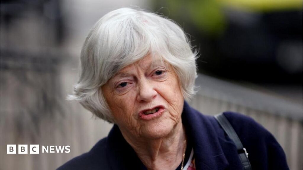 LIVEMan held on suspicion of Ann Widdecombe's murder released and no longer part of investigationPolice say the investigation into the former Conservative minister's death is "moving at a significant pace" and are appealing for information.