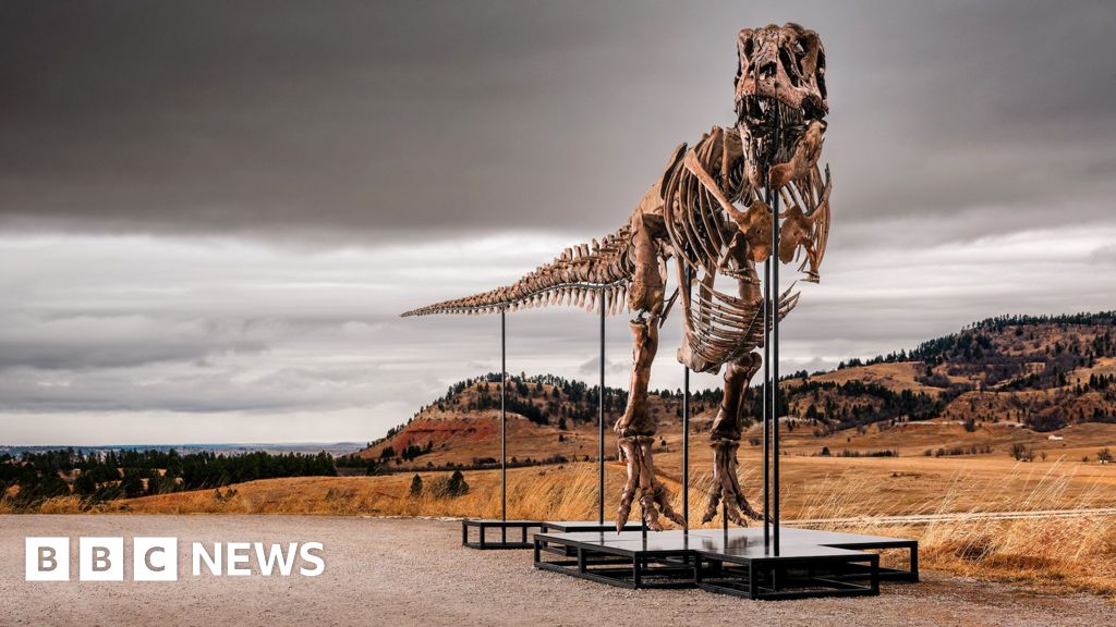 T. rex could become most expensive fossil ever – but it's a problem for scientistsA 67 million-year-old Tyrannosaurus rex will go on sale in New York with a pre-sale value of $30m.3 hrs ago T. rex could become most expensive fossil ever - but it's a problem for scientistsA 67 million-year-old Tyrannosaurus rex will go on sale in New York with a pre-sale value of $30m.3 hrs ago