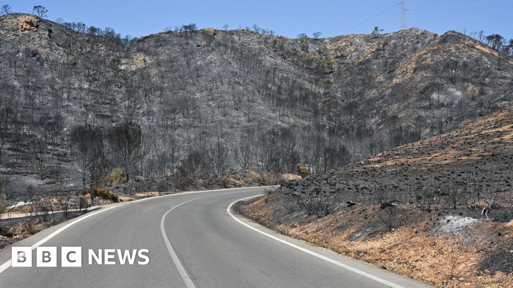 Badly burned British couple rescued from ravine during Spain wildfires The unnamed pair were found semi-conscious with 40% burns after being trapped by the blazes raging through Almeria province.16 mins agoEurope Badly burned British couple rescued from ravine during Spain wildfires The unnamed pair were found semi-conscious with 40% burns after being trapped by the blazes raging through Almeria province.16 mins agoEurope