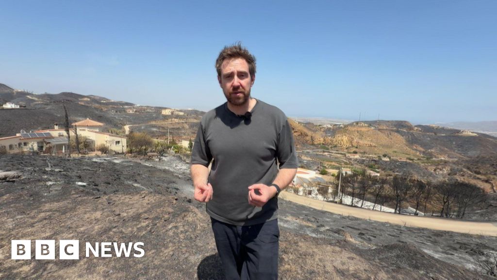 Watch: Inside the village at epicentre of Spain's wildfiresThe BBC's Nick Beake sees homes razed to the ground and "a sea of black" in Bédar.2 hrs agoEurope Watch: Inside the village at epicentre of Spain's wildfiresThe BBC's Nick Beake sees homes razed to the ground and "a sea of black" in Bédar.2 hrs agoEurope