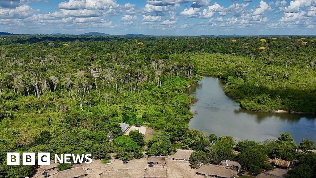 Brazil's Amazon sees sharp decline in size of area burned in 2025The amount of land burned in the world's largest rainforest was the smallest since MapBiomas records began in 1985.4 hrs agoLatin America Brazil's Amazon sees sharp decline in size of area burned in 2025The amount of land burned in the world's largest rainforest was the smallest since MapBiomas records began in 1985.4 hrs agoLatin America