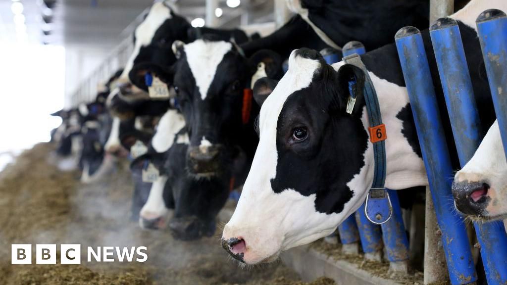 Canada's 'powerful' dairy sector is in Trump's trade crosshairsCanada's dairy supply management system is in the spotlight after the US president singled it out as one of three main irritants used to justify new tariffs. 23 mins agoUS & Canada Canada's 'powerful' dairy sector is in Trump's trade crosshairsCanada's dairy supply management system is in the spotlight after the US president singled it out as one of three main irritants used to justify new tariffs. 23 mins agoUS & Canada