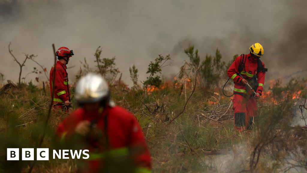 France battles fire 'whirlwinds' as another 55,000 evacuated More than 340,000 people have now been evacuated from wildfires in France and Spain. 2 hrs agoEurope France battles fire 'whirlwinds' as another 55,000 evacuated More than 340,000 people have now been evacuated from wildfires in France and Spain. 2 hrs agoEurope