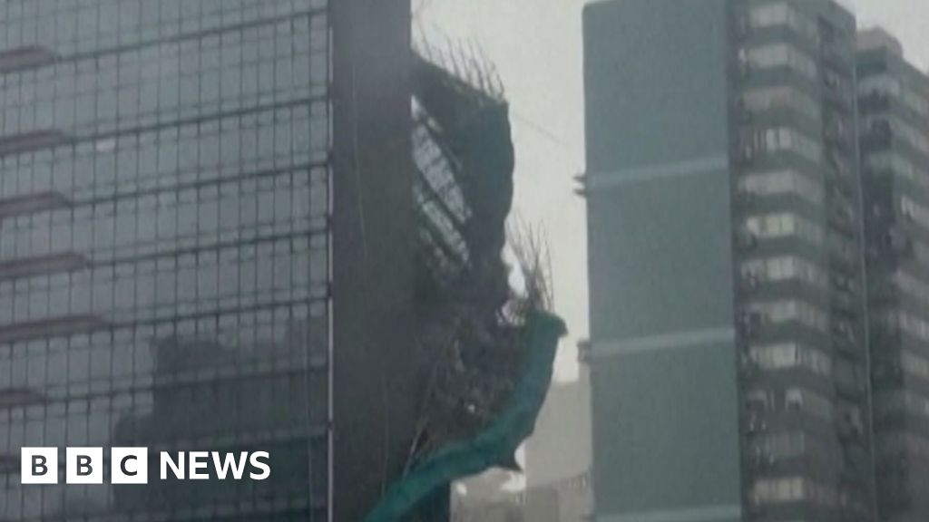 Watch: Scaffolding ripped from Hong Kong building as Typhoon Noul makes landfallTyphoon Noul is the strongest to make landfall in China so far this year, according to state media.2 hrs agoAsia Watch: Scaffolding ripped from Hong Kong building as Typhoon Noul makes landfallTyphoon Noul is the strongest to make landfall in China so far this year, according to state media.2 hrs agoAsia