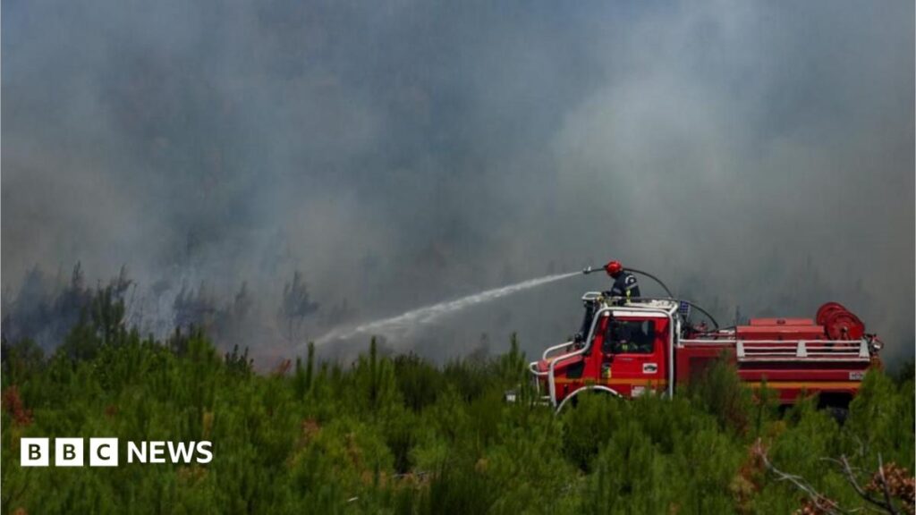 LIVEWildfire fight is 'David against Goliath' says French fire service, as new heatwave hitsA major wildfire is burning around nine miles from the outskirts of Bordeaux - although officials say the city itself is not yet under threat.
