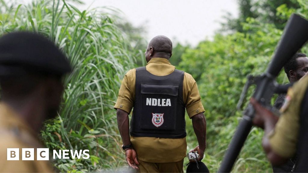 How Mexican drug cartels have outsourced meth labs to NigeriaWest Africa is becoming increasingly attractive to those who want to make and export illicit drugs.2 hrs agoWorld How Mexican drug cartels have outsourced meth labs to NigeriaWest Africa is becoming increasingly attractive to those who want to make and export illicit drugs.2 hrs agoWorld