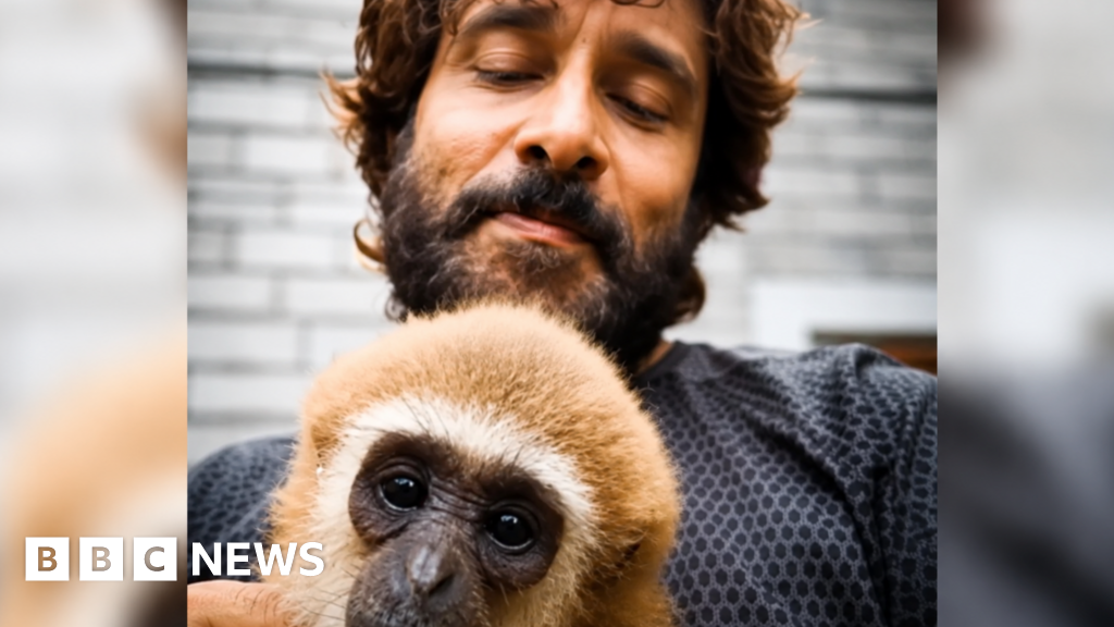 Indian actor's video with endangered gibbon sparks investigationA deleted video of Tamil star Vikram cuddling an endangered gibbon has triggered an inquiry into how the animal entered India.1 hr agoAsia Indian actor's video with endangered gibbon sparks investigationA deleted video of Tamil star Vikram cuddling an endangered gibbon has triggered an inquiry into how the animal entered India.1 hr agoAsia