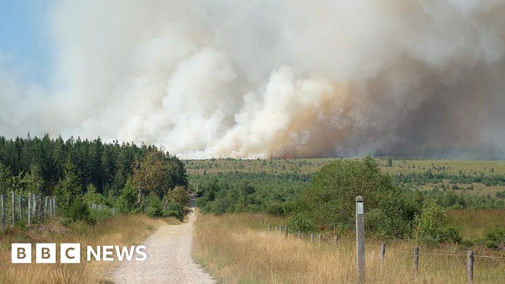 Firefighters battle wildfire tearing through Belgian nature reserveThe fire burning through the major park was described as the country's worst in recent years.53 mins agoEurope Firefighters battle wildfire tearing through Belgian nature reserveThe fire burning through the major park was described as the country's worst in recent years.53 mins agoEurope