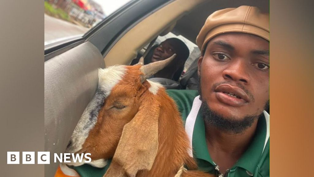 The goat is now a celebrity – how this graduation gift went viralDescribed as calm character, Promise Okoro's goat loves friend rice and has become celebrated locally.7 hrs agoAfrica The goat is now a celebrity - how this graduation gift went viralDescribed as calm character, Promise Okoro's goat loves friend rice and has become celebrated locally.7 hrs agoAfrica