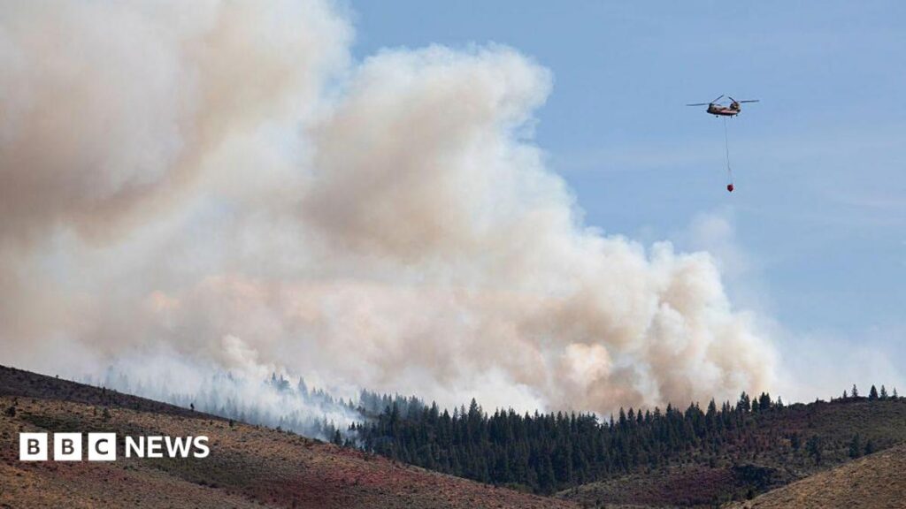 LIVETens of thousands urged to evacuate as wildfire approaches Reno, NevadaThe blaze, which officials say was caused by people, was first reported on Saturday morning and Nevada's governor has declared a state of emergency.