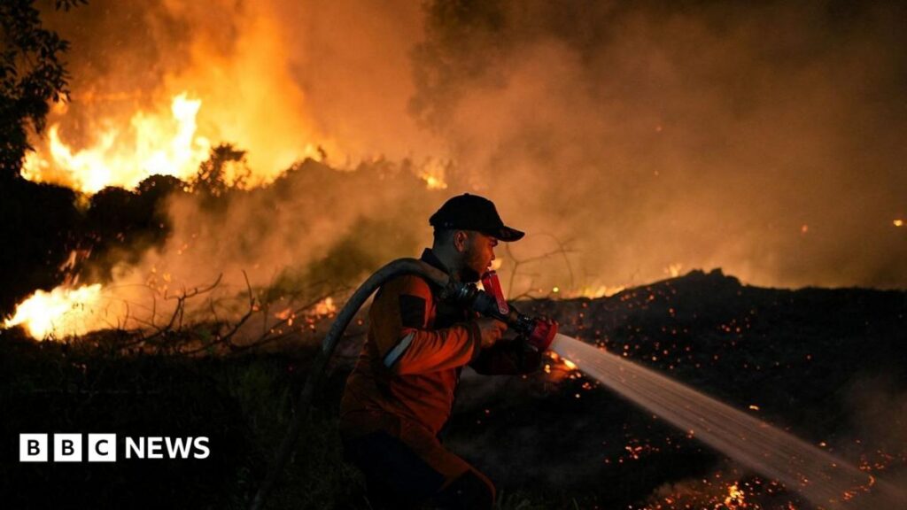 LIVEToxic haze from Indonesia spreads to Malaysia and Philippines as wildfires rageMillions in South East Asia are affected by toxic haze as wildfires burn in Indonesia's Sumatra and Kalimantan. LIVEToxic haze from Indonesia spreads to Malaysia and Philippines as wildfires rageMillions in South East Asia are affected by toxic haze as wildfires burn in Indonesia's Sumatra and Kalimantan.