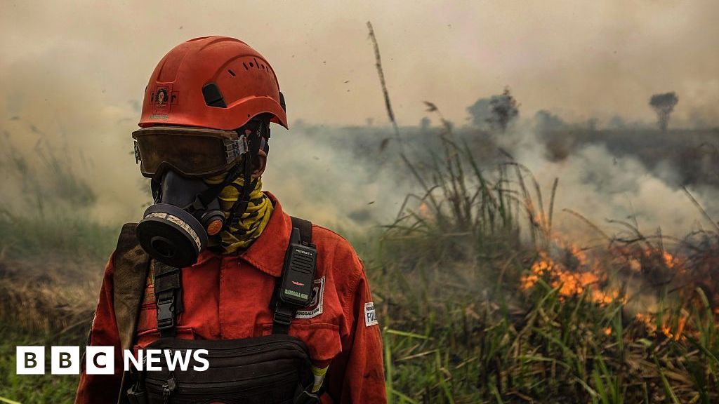 Toxic wildfire haze spreads across South East Asia as 'super' El Niño intensifiesMillions of people have been exposed to the smog, with more than 12,000 children suffering respiratory issues.16 mins agoAsia Toxic wildfire haze spreads across South East Asia as 'super' El Niño intensifiesMillions of people have been exposed to the smog, with more than 12,000 children suffering respiratory issues.16 mins agoAsia