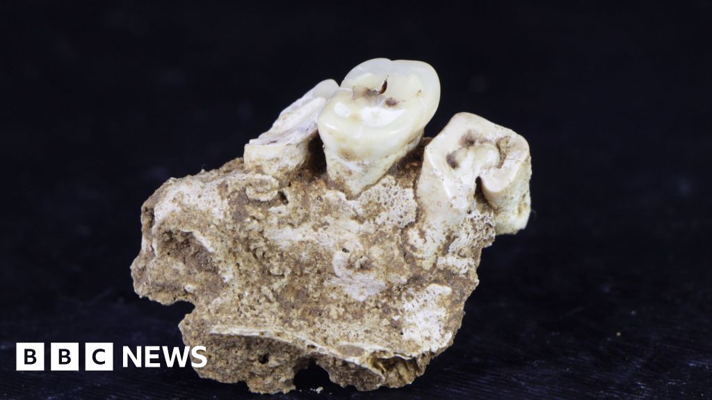 Drug use may have begun 25,000 years ago in Indonesia, research findsScientists have found evidence that early human foragers in Indonesia were using the betel nut as a drug.1 hr agoAsia Drug use may have begun 25,000 years ago in Indonesia, research findsScientists have found evidence that early human foragers in Indonesia were using the betel nut as a drug.1 hr agoAsia