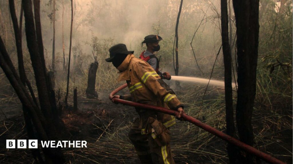 Developing El Niño becomes strongest on record weeks before expected peakScientists say the developing El Niño is now the strongest on record with weather impacts already being felt around the world.5 hrs ago Developing El Niño becomes strongest on record weeks before expected peakScientists say the developing El Niño is now the strongest on record with weather impacts already being felt around the world.5 hrs ago