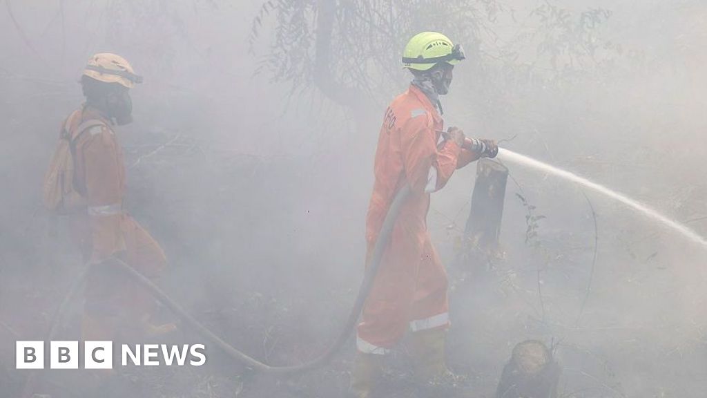 More than 170,000 respiratory cases recorded in haze-choked IndonesiaMore than 40,000 of the cases – which range from mild coughs to pneumonia – involve toddlers.2 hrs agoAsia More than 170,000 respiratory cases recorded in haze-choked IndonesiaMore than 40,000 of the cases – which range from mild coughs to pneumonia – involve toddlers.2 hrs agoAsia