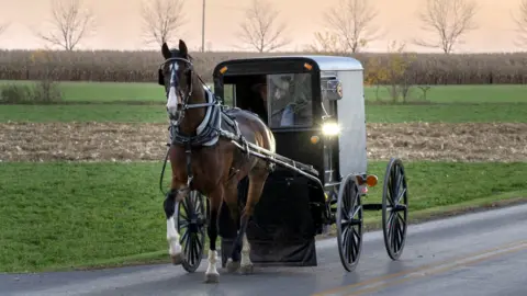 Getty Images A horse and buggy carriage drives by