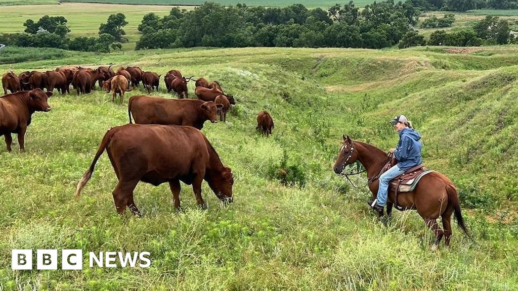 American ranchers wrestle with soaring costs – and their loyalty to TrumpMany farmers in states that backed the president say they are being hit from all sides, with the crucial midterm elections just weeks away.8 hrs agoUS & Canada American ranchers wrestle with soaring costs - and their loyalty to TrumpMany farmers in states that backed the president say they are being hit from all sides, with the crucial midterm elections just weeks away.8 hrs agoUS & Canada