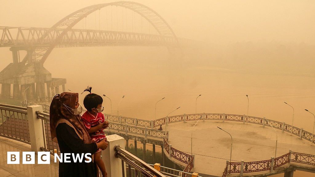 Who's to blame for the toxic smog choking South East Asia? Anger is mounting at the companies accused of burning land in Indonesia and the authorities who have failed to stop them.7 hrs agoAsia Who's to blame for the toxic smog choking South East Asia? Anger is mounting at the companies accused of burning land in Indonesia and the authorities who have failed to stop them.7 hrs agoAsia