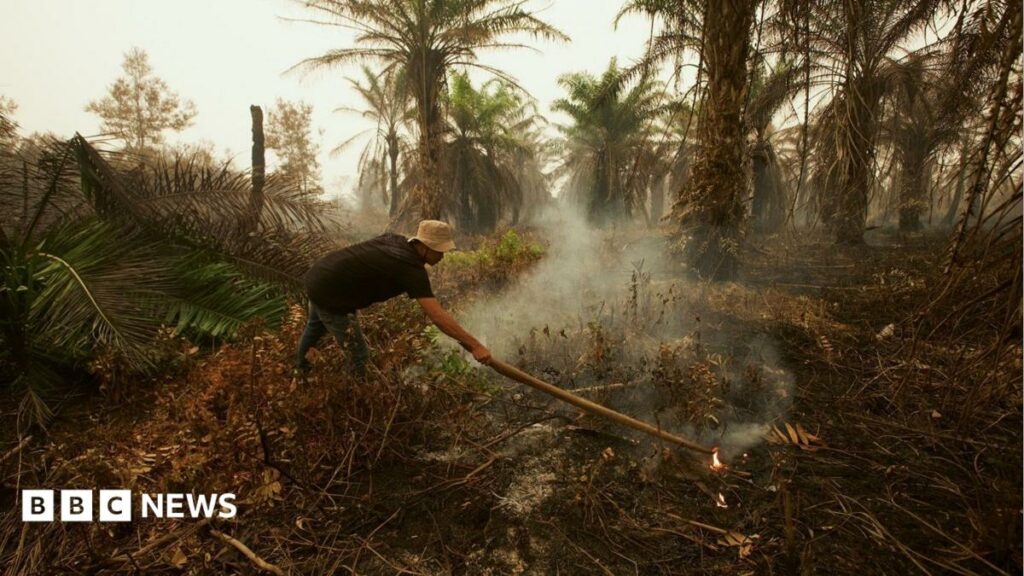 'It smells like charred earth': BBC at Indonesia fire epicentre causing Singapore and Malaysia haze crisisAs wildfires continue to smother the region in toxic smog, the BBC travels to ground zero in Indonesian Borneo.