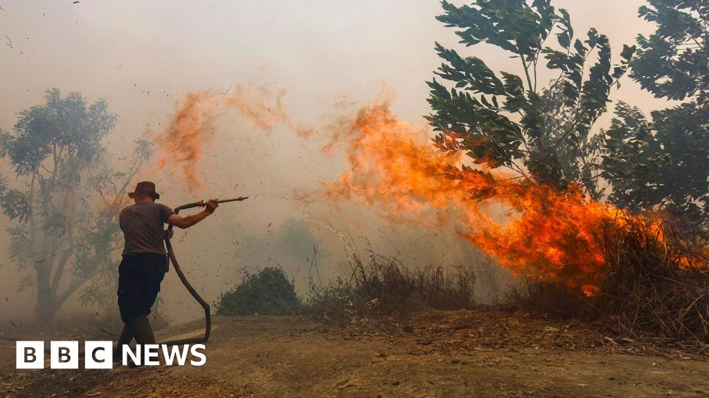 Borneo burning: Life on the frontline of South East Asia's toxic hazeA "Super El Niño" has fuelled months-long fires in Indonesia, making hundreds of thousands of people sick.1 hr agoAsia Borneo burning: Life on the frontline of South East Asia's toxic hazeA "Super El Niño" has fuelled months-long fires in Indonesia, making hundreds of thousands of people sick.1 hr agoAsia