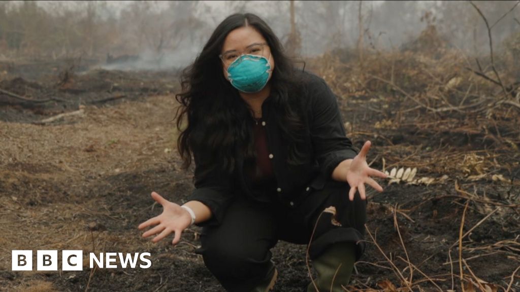 Why is a peat fire so bad? BBC is in Indonesia to find outThe BBC's Liza Tambunan is in central Kalimantan, to explain what peat is and why Indonesia is facing its worst wildfire season in a decade.3 hrs agoAsia Why is a peat fire so bad? BBC is in Indonesia to find outThe BBC's Liza Tambunan is in central Kalimantan, to explain what peat is and why Indonesia is facing its worst wildfire season in a decade.3 hrs agoAsia
