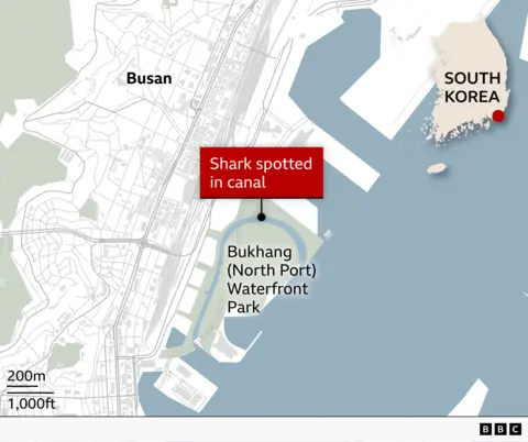 Map of the coast of Busan, South Korea, where a shark was spotted in a canal near Bukhang (North Port) Waterfront Park.