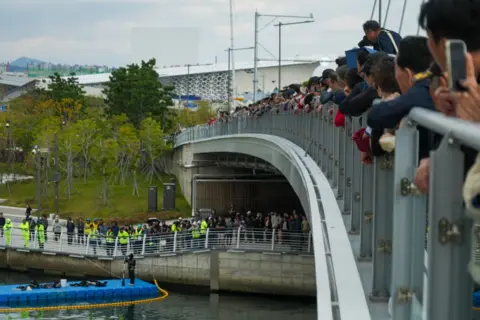 Hosu Lee/BBC A line of people strecthing into the distance stands at the railings gazing into the canal where Bukangi is swimming.